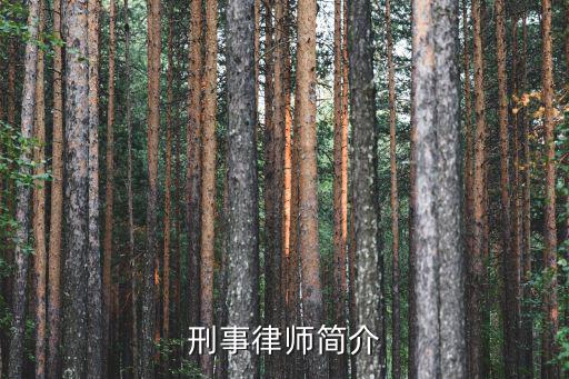 刑事律師，刑事律師簡介