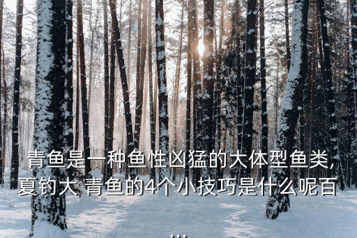  青魚是一種魚性兇猛的大體型魚類,夏釣大 青魚的4個小技巧是什么呢百...