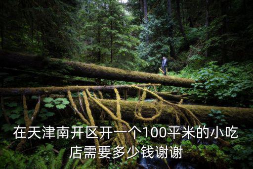在天津南開區開一個100平米的小吃店需要多少錢謝謝