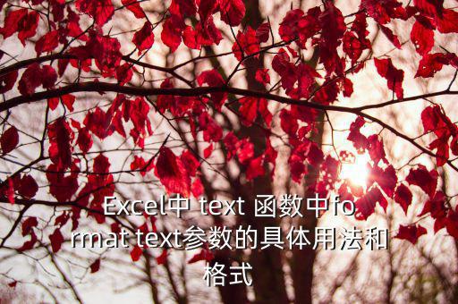 Excel中 text 函數中format text參數的具體用法和格式