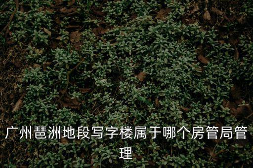 廣州琶洲地段寫字樓屬于哪個房管局管理