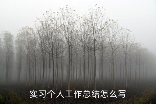 實(shí)習(xí)個(gè)人工作總結(jié)怎么寫