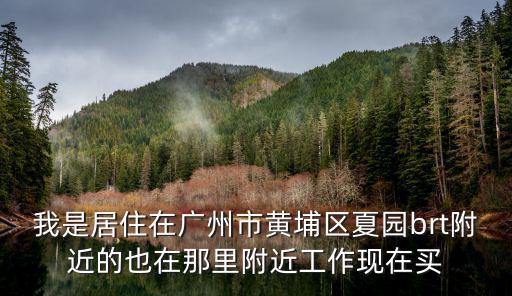 我是居住在廣州市黃埔區(qū)夏園brt附近的也在那里附近工作現(xiàn)在買