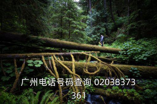 廣州電話號碼查詢 02038373361