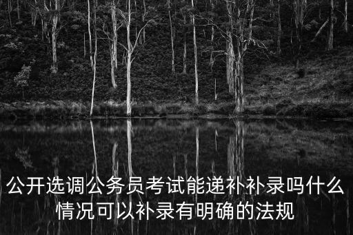 公開選調公務員考試能遞補補錄嗎什么情況可以補錄有明確的法規