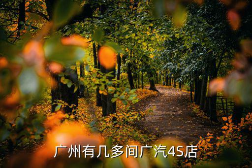 廣州有幾多間廣汽4S店