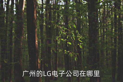 廣州GL電子，廣州的LG電子公司在哪里