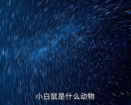 小白鼠是什么動物