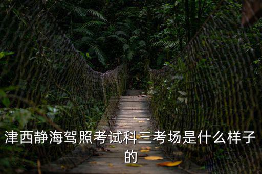 津西靜海駕照考試科三考場是什么樣子的
