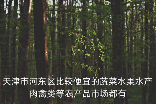 天津市河?xùn)|區(qū)比較便宜的蔬菜水果水產(chǎn)肉禽類(lèi)等農(nóng)產(chǎn)品市場(chǎng)都有