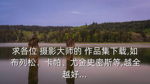 求各位 攝影大師的 作品集下載,如 布列松、卡帕、尤金史密斯等,越全越好...