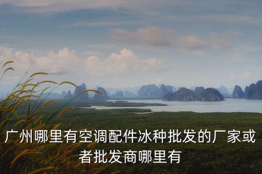 廣州哪里有空調配件冰種批發的廠家或者批發商哪里有