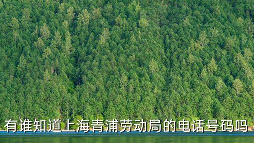 有誰知道上海青浦勞動局的電話號碼嗎