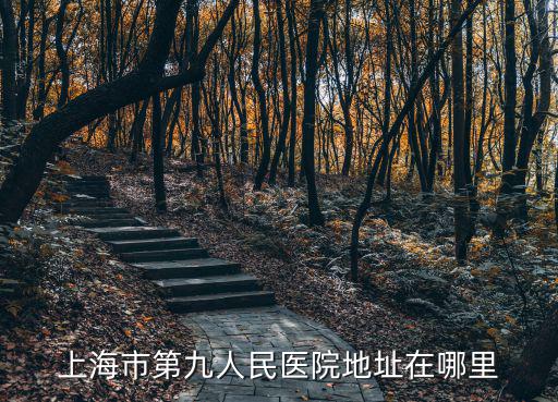 上海市第九人民醫(yī)院地址在哪里