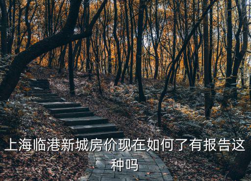 上海臨港新城房?jī)r(jià)現(xiàn)在如何了有報(bào)告這種嗎