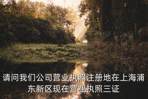 請問我們公司營業(yè)執(zhí)照注冊地在上海浦東新區(qū)現(xiàn)在營業(yè)執(zhí)照三證