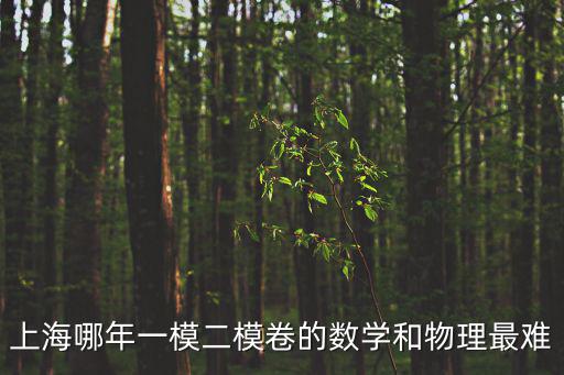 上海哪年一模二模卷的數學和物理最難