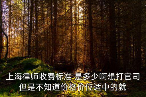 上海律師收費(fèi)標(biāo)準(zhǔn) 是多少啊想打官司但是不知道價(jià)格價(jià)位適中的就