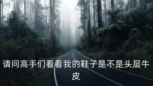 請問高手們看看我的鞋子是不是頭層牛皮