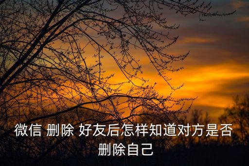 如何看微信好友是否刪除自己,如何加我為好友?
