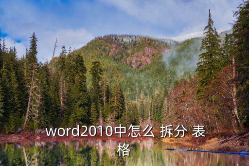  word2010中怎么 拆分 表格