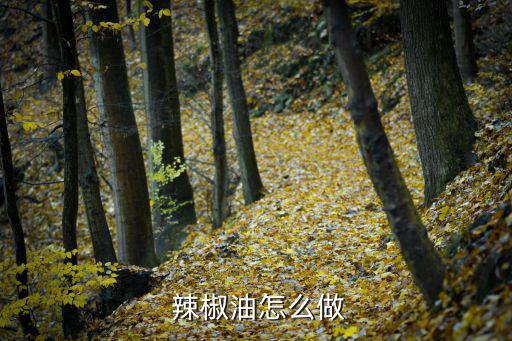 辣椒油的做法,秘制秘訣!