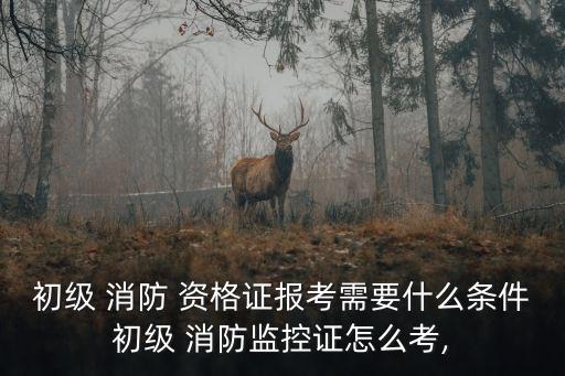 消防員資格證,消防中控監督證個人需報名參加考試