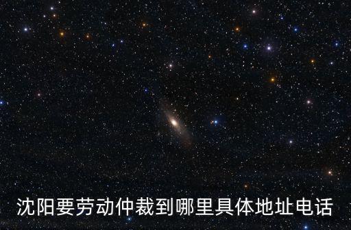 沈陽(yáng)要?jiǎng)趧?dòng)仲裁到哪里具體地址電話