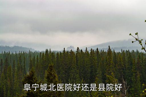 阜寧城北醫(yī)院好還是縣院好