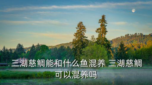 三湖慈鯛魚,非洲三大湖的慈鯛可以混養