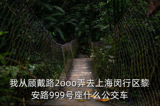 我從顧戴路2ooo弄去上海閔行區黎安路999號座什么公交車