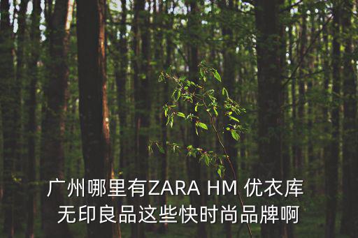 廣州哪里有ZARA HM 優衣庫 無印良品這些快時尚品牌啊