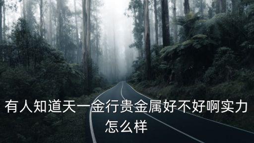 有人知道天一金行貴金屬好不好啊實力怎么樣