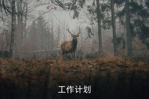 工作計(jì)劃