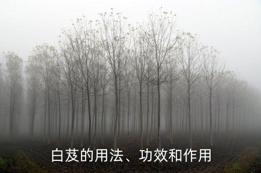 白芨的用法、功效和作用