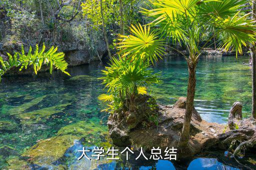 大學生個人總結