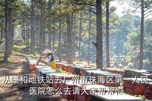 從同和地鐵站去廣州市珠海區第一人民醫院怎么去請大家幫幫忙