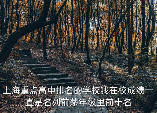 上海重點高中排名的學校我在校成績一直是名列前茅年級里前十名
