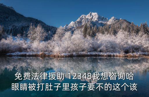 免費法律援助 12348我想咨詢哈眼睛被打肚子里孩子要不的這個該