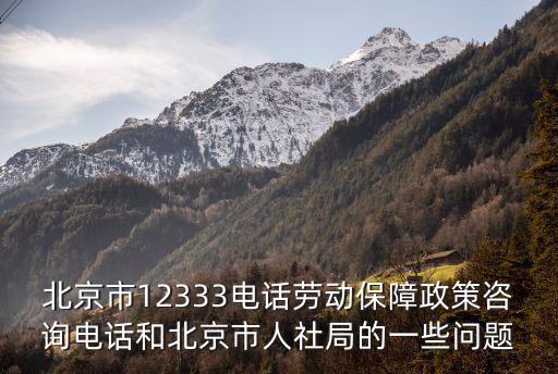 北京市12333電話勞動保障政策咨詢電話和北京市人社局的一些問題