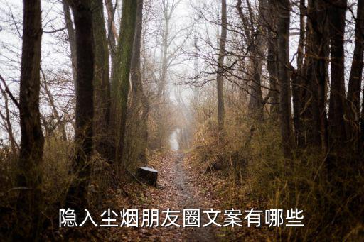 隱入塵煙朋友圈文案有哪些