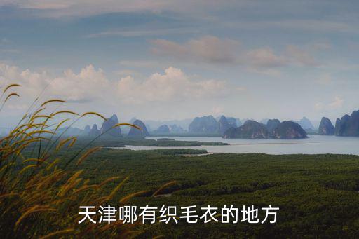 天津哪有織毛衣的地方