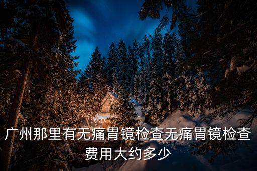 廣州無痛胃鏡檢查要多少錢一次，廣州那里有無痛胃鏡檢查無痛胃鏡檢查費用大約多少