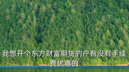 我想開個(gè)東方財(cái)富期貨的戶有沒(méi)有手續(xù)費(fèi)優(yōu)惠的