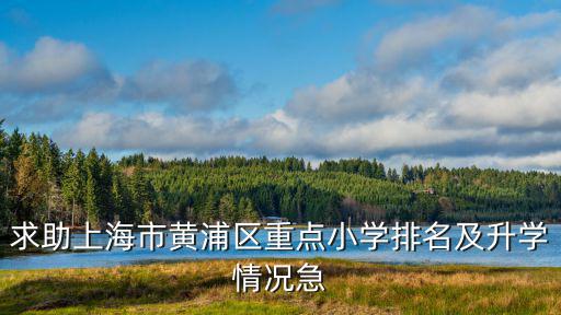 求助上海市黃浦區重點小學排名及升學情況急