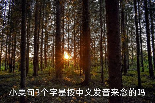 小粟旬3個字是按中文發音來念的嗎
