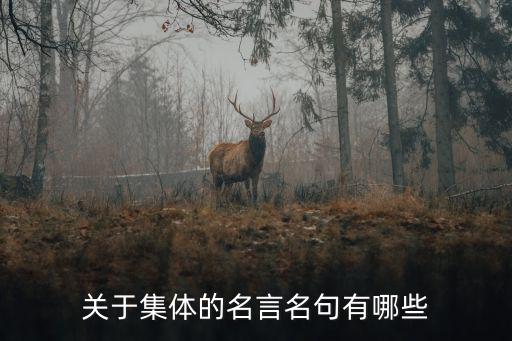 關于集體的名言名句有哪些