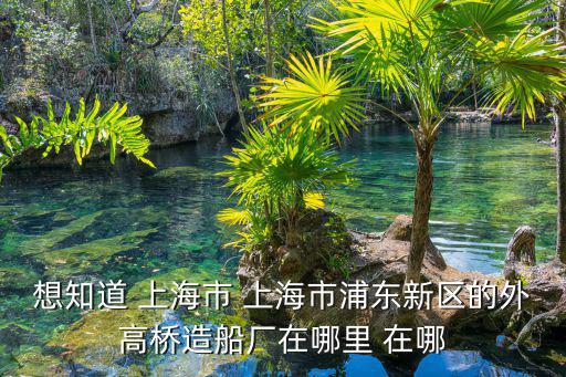 想知道 上海市 上海市浦東新區的外高橋造船廠在哪里 在哪