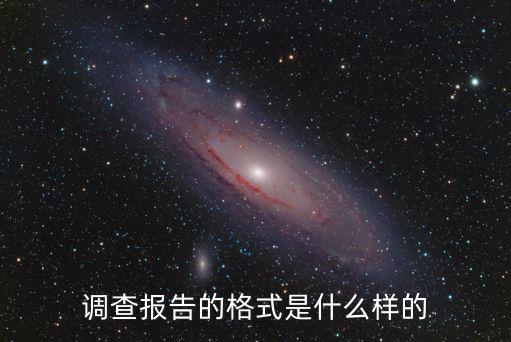 調查報告的格式是什么樣的