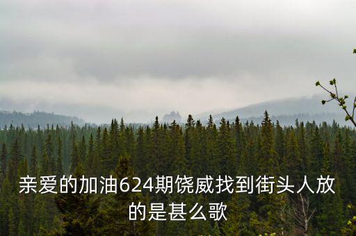 天津市街頭放軍歌，天津電視臺愛情保衛戰中放的歌曲